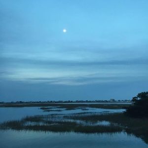 Meet your Posher, Sandy